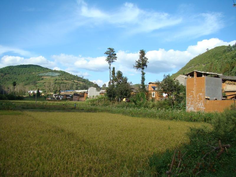 村容遠景