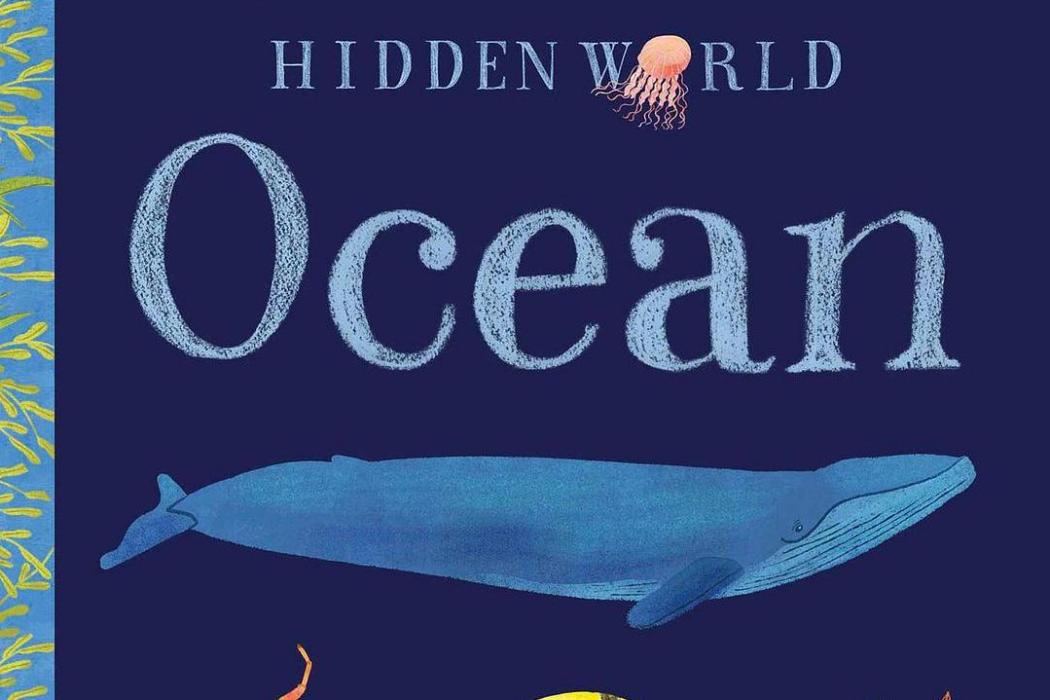 Hidden World: Ocean