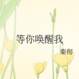 等你喚醒我(秦徹創作的網路小說)