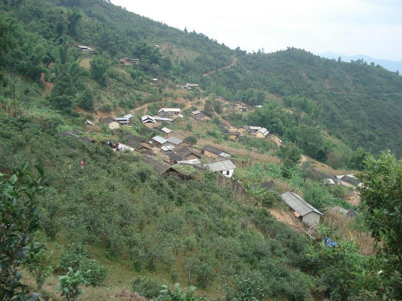 茶山頭自然村