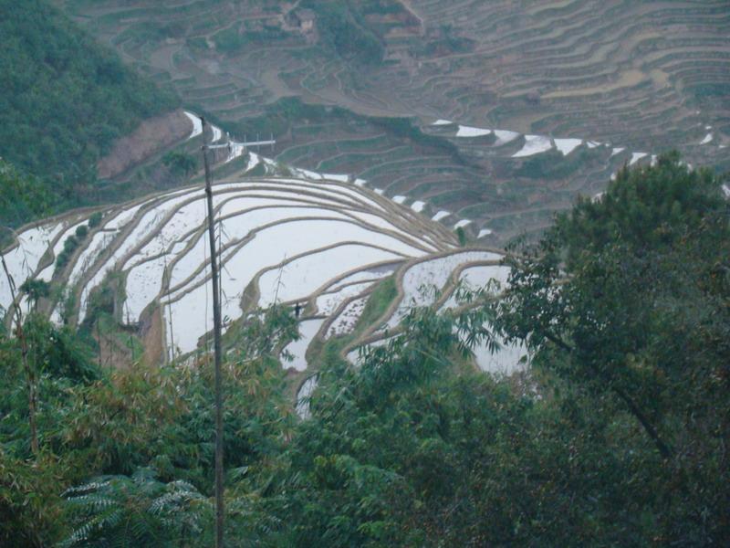 村中田園