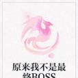 原來我不是最終BOSS