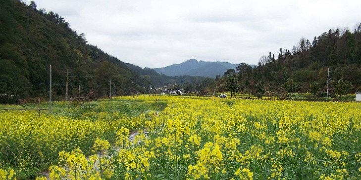 鸛三村