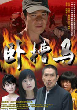 臥槽馬(2009年陶明喜導演的電影)