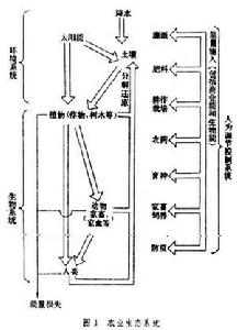 農業生態