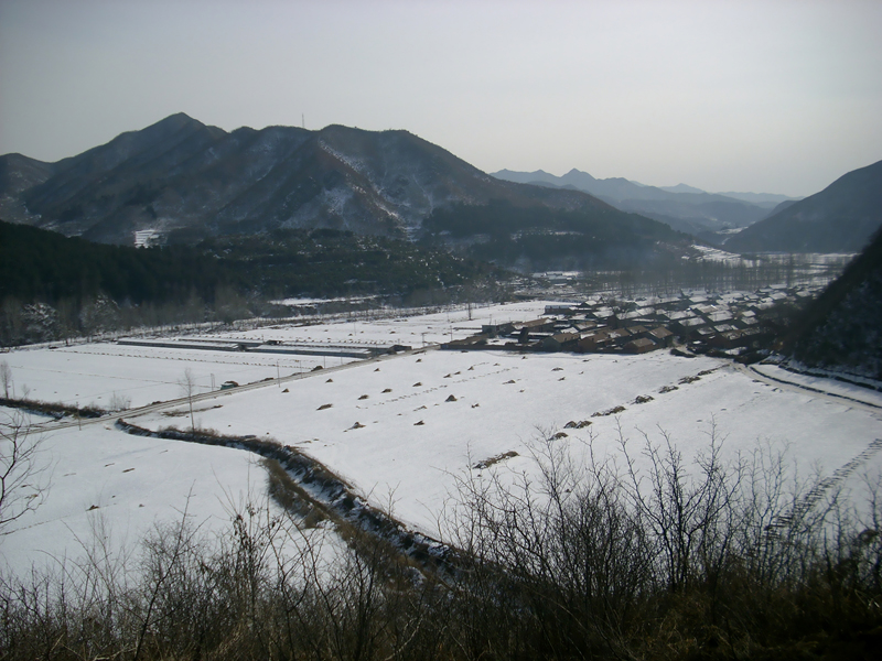 冬季多雪，精彩無限。