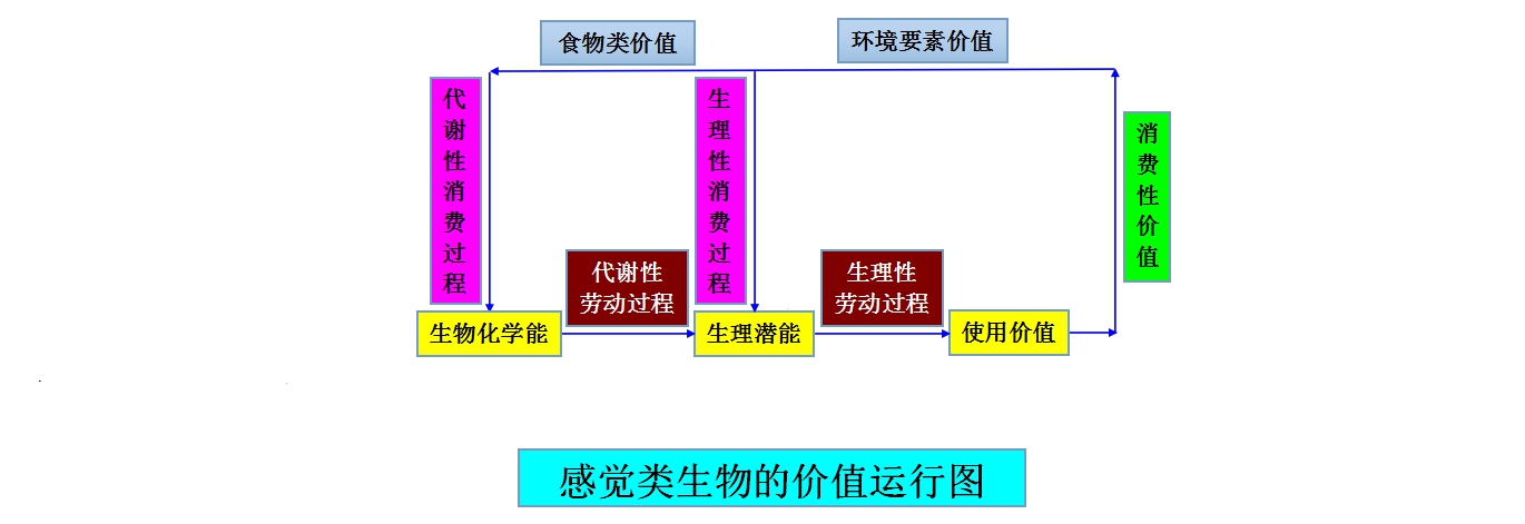 感性情感