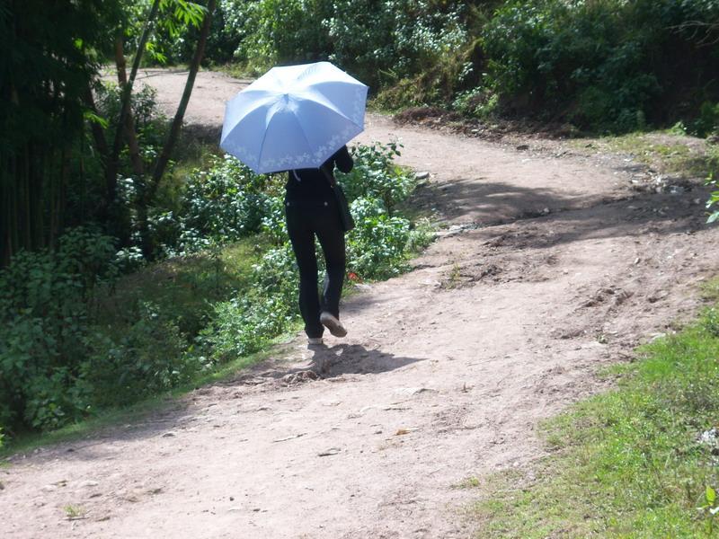 進村路