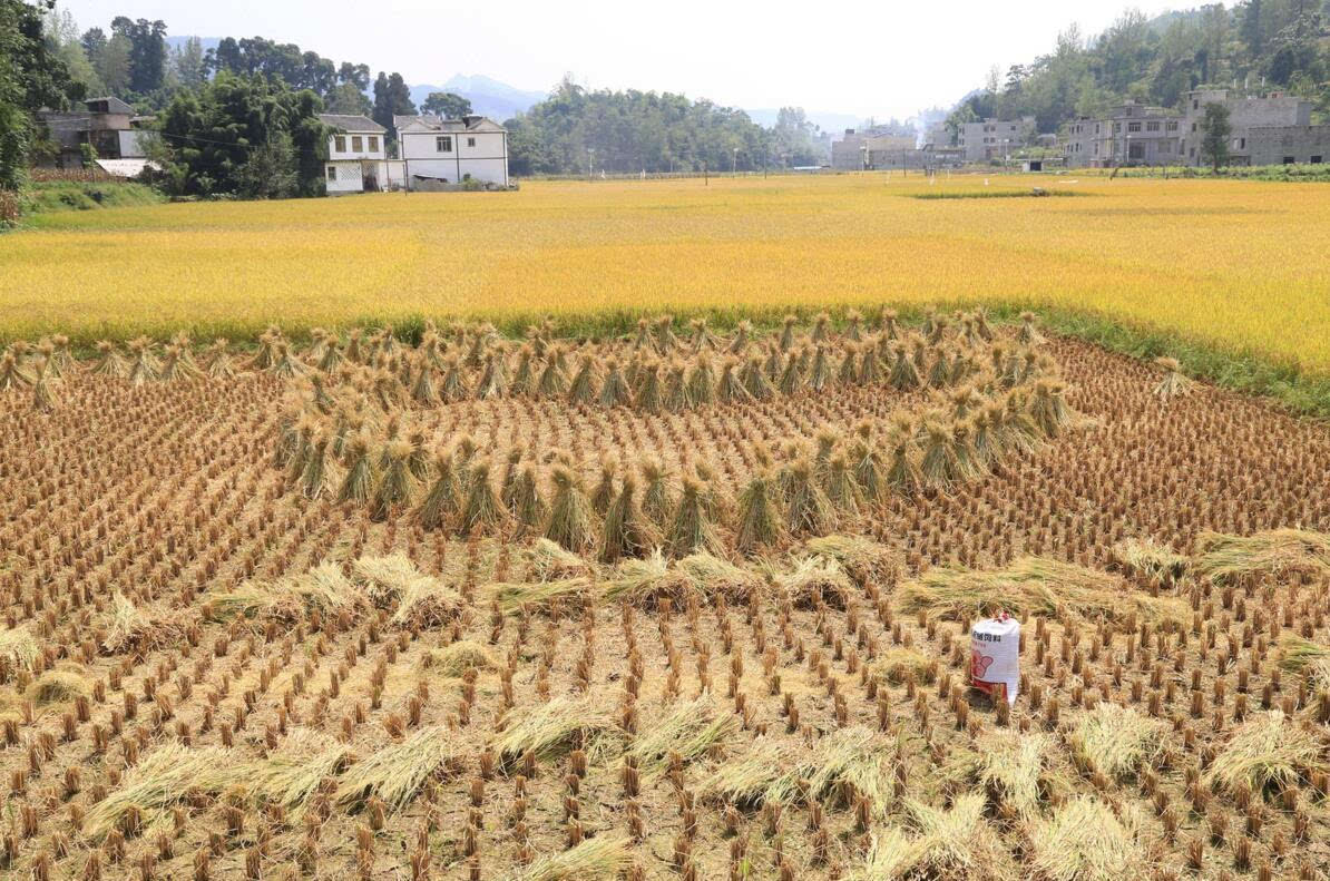 平原鎮(貴州省銅仁市德江縣下轄鎮)