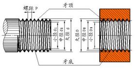 螺尾