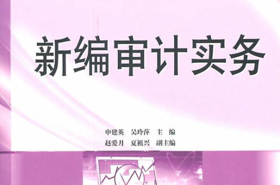 審計實務(高等教育設定的專業)