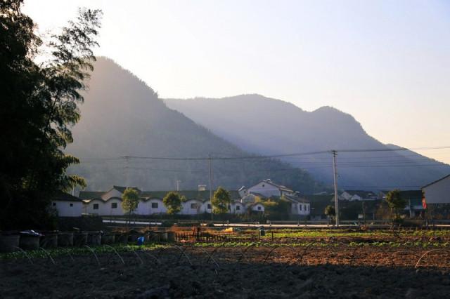 中村村(雲南省楚雄祿豐縣中村鄉中村村)