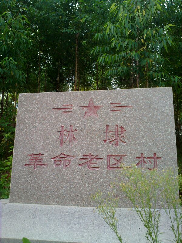 林埭村