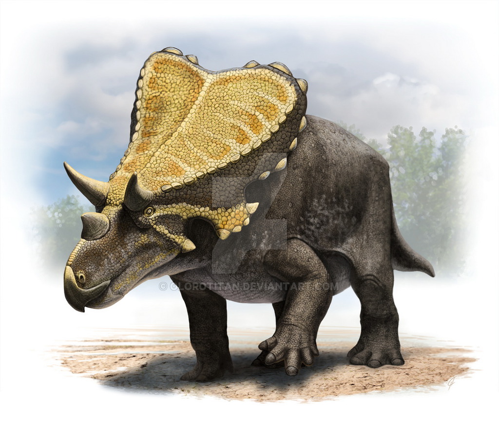 Mercuriceratops