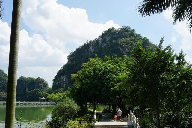 鼎湖山樹木園