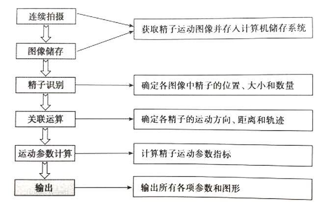 圖1 精液分析儀分析流程圖