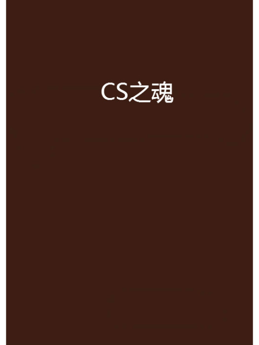 CS之魂