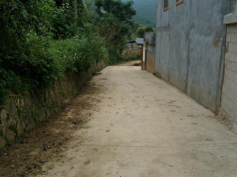 雙河廠村-村中道路