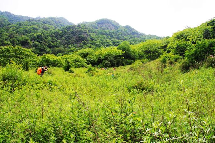 高六堆二隊村