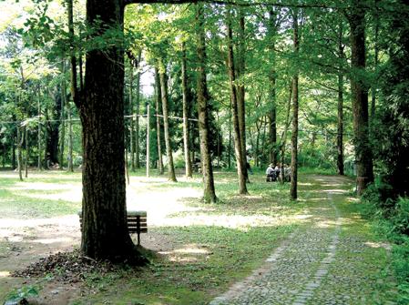 蔡家畈村(湖北省黃岡市英山縣雷店鎮蔡家畈村)