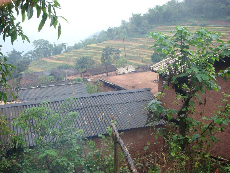 大爛壩自然村(雲南普洱江城縣康平鄉兩棵樹村大爛壩自然村)