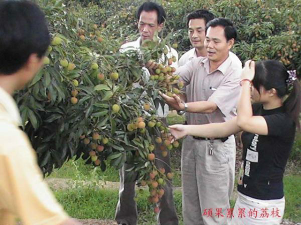 海南省國營樂中農場