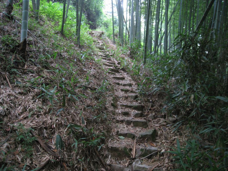 大岙東山岙古道