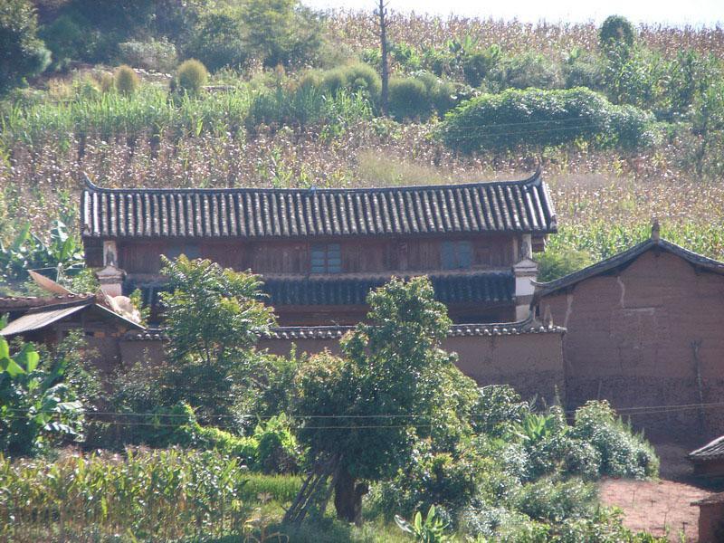 半坡田村(雲南雙柏縣妥甸鎮下轄村)