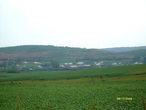 白樺山遠景