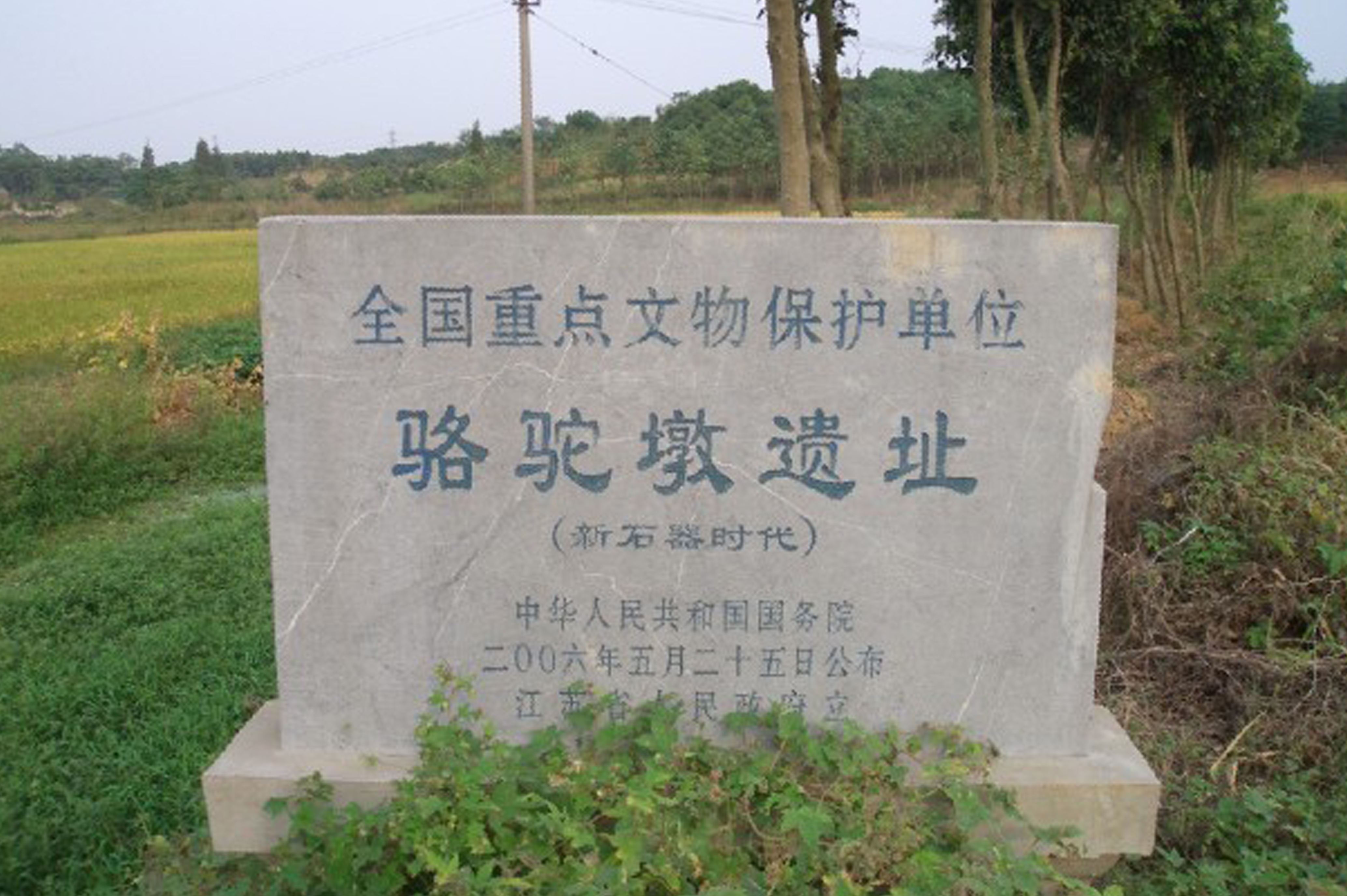 駱駝墩遺址