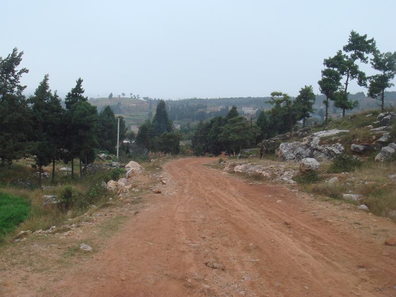 進村道路