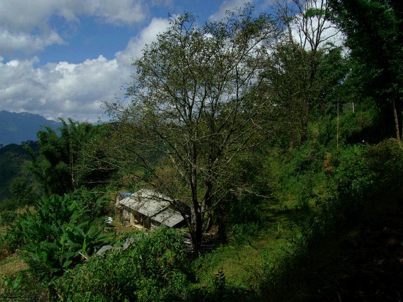 怕界山自然村