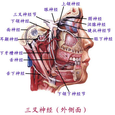 牙疼、叉疼可以採取異病同治