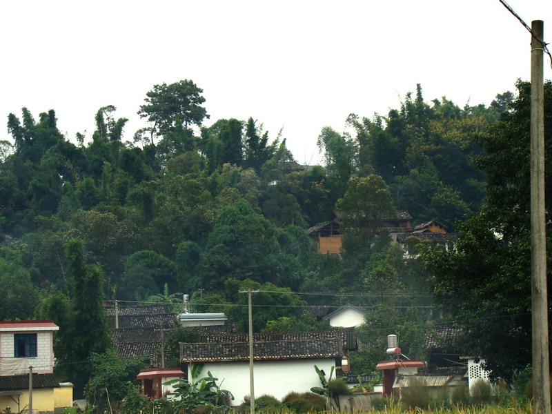 小龍潭自然村(雲南省保山市昌寧縣柯街鎮小龍潭自然村)