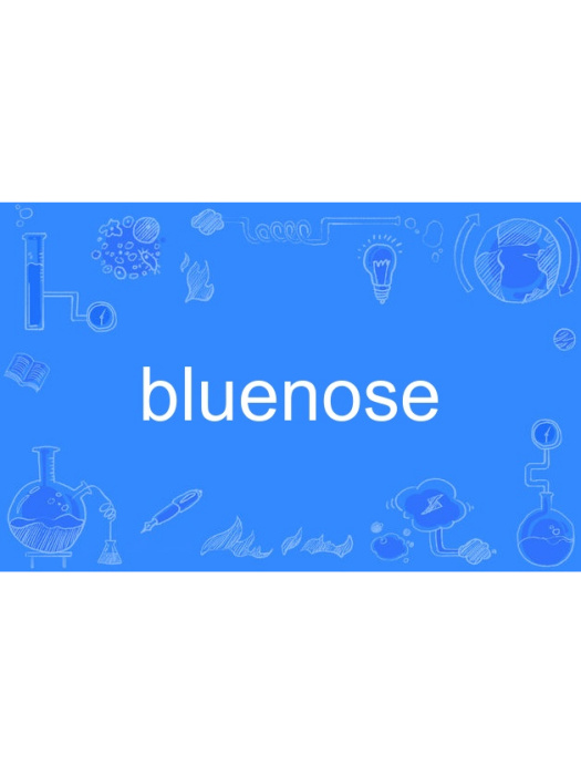 bluenose