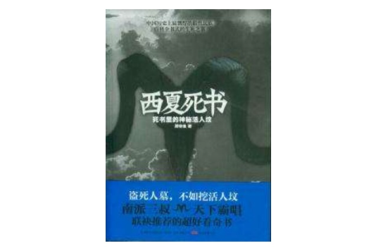 西夏死書1：死書里的神秘活人墳