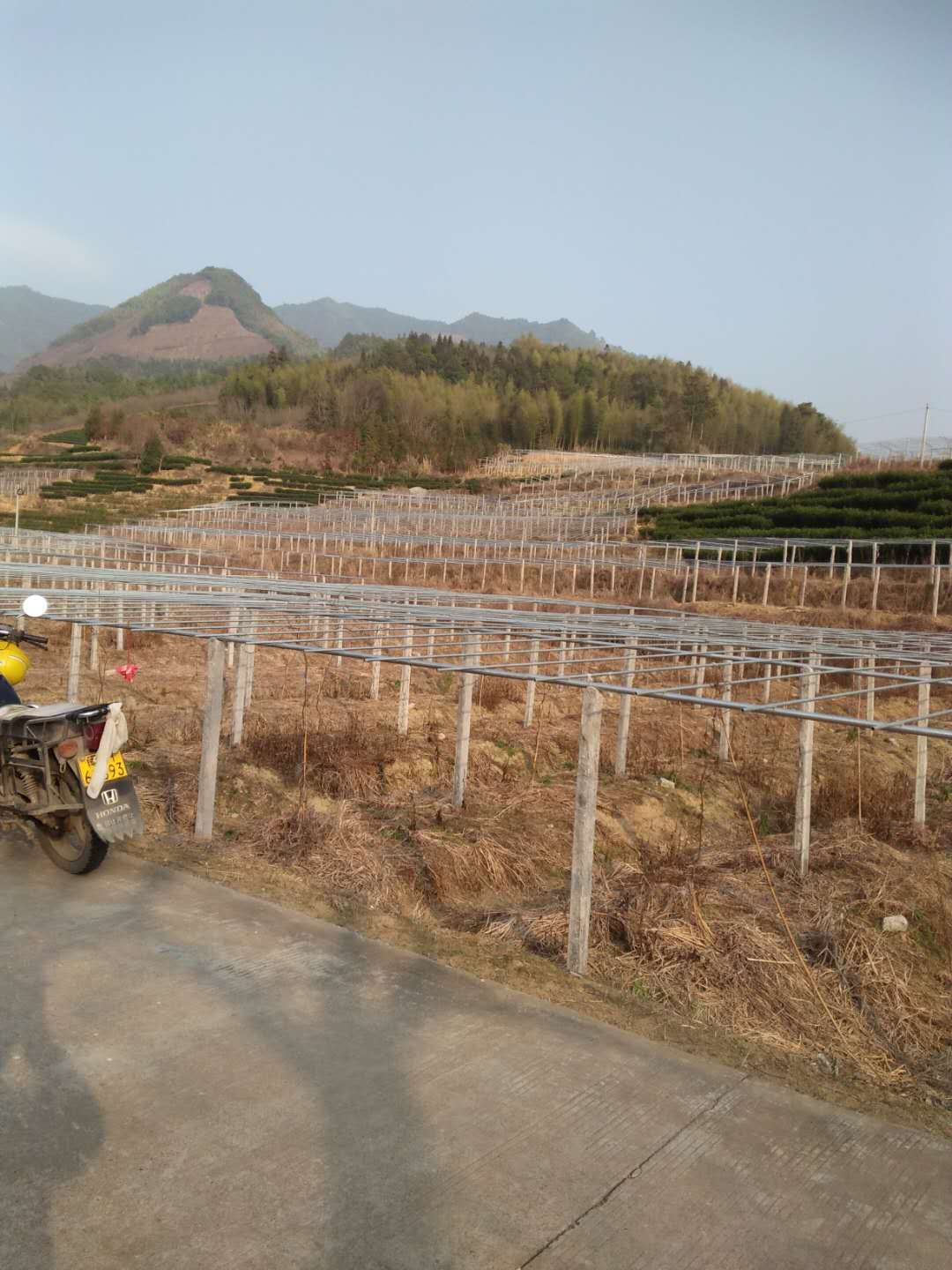 元山村(福建南平政和縣鐵山鎮元山村)