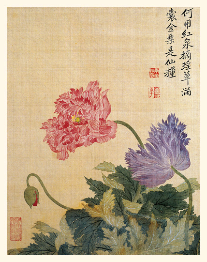 惲壽平花卉圖