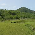 大徑村(廣東汕尾市陸河縣河田鎮大徑村)