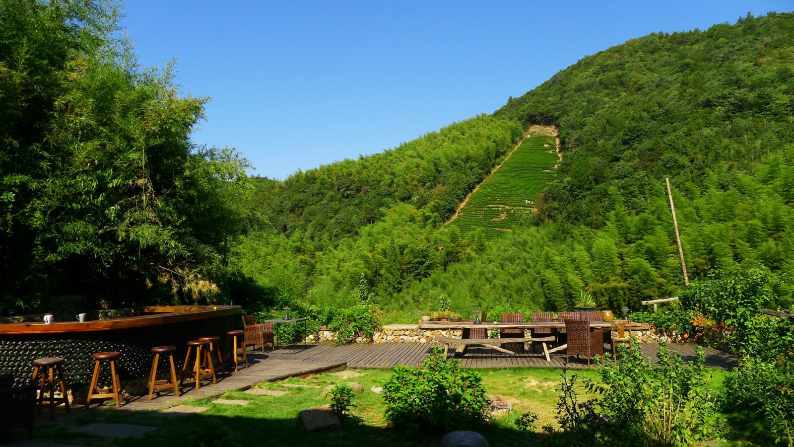 浙江德清莫乾山森林公園