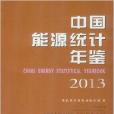 中國能源統計年鑑2013