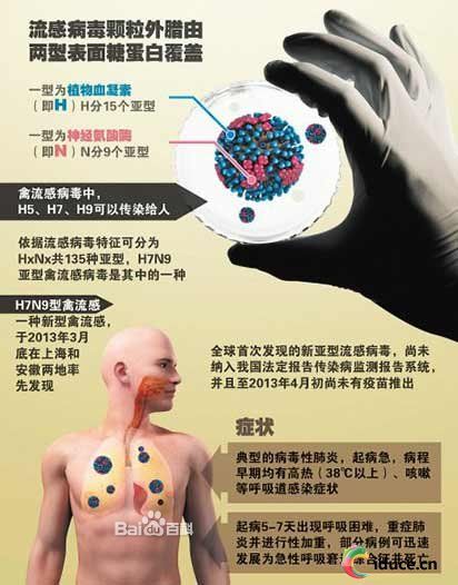 關於H7N9型禽流感的常見問題