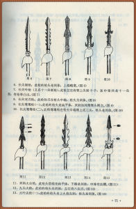 書中頁面