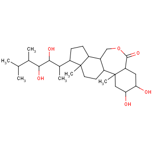 蕓薹素內酯