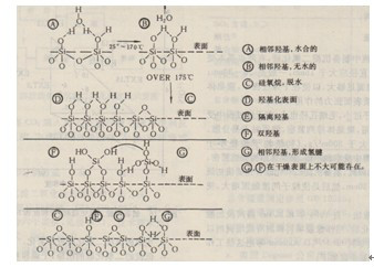 無定形二氧化矽表面羥基類型