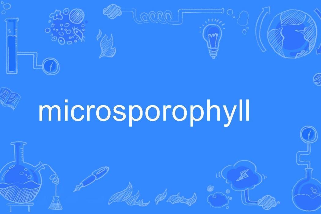 microsporophyll