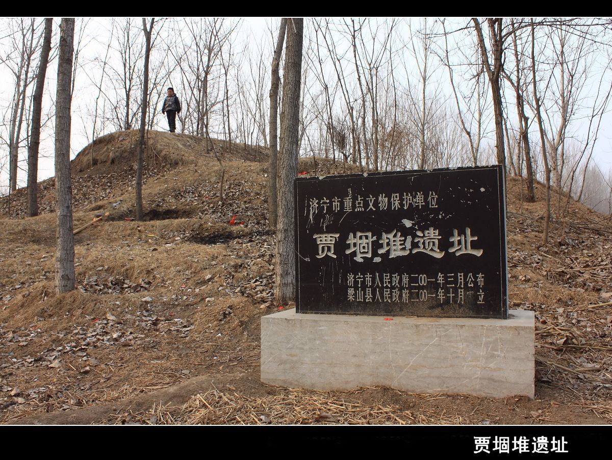 賈堌堆遺址