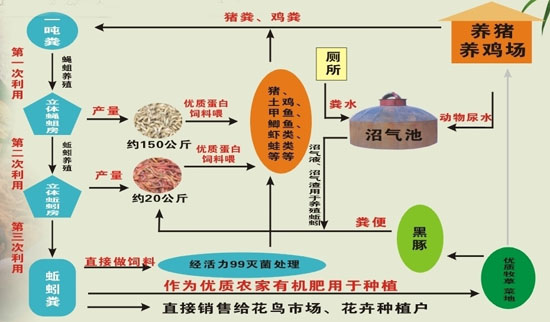 生物鏈養殖技術