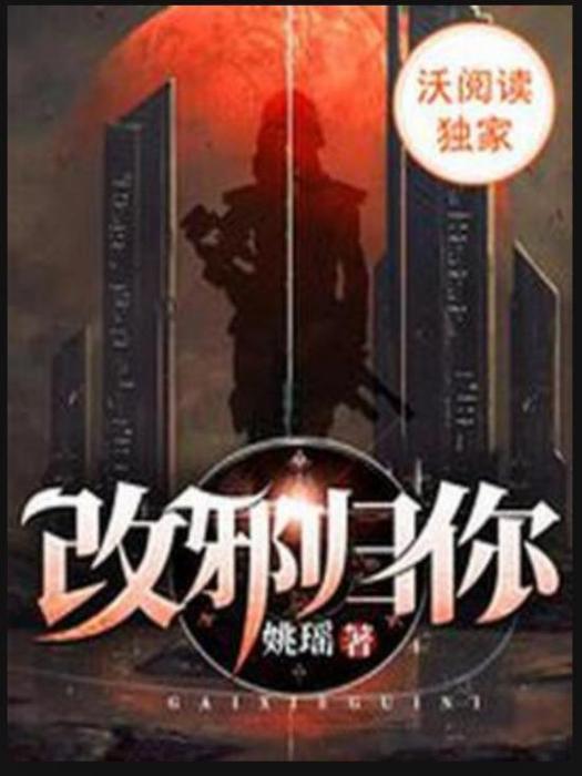 改邪歸你(姚瑤所著小說)