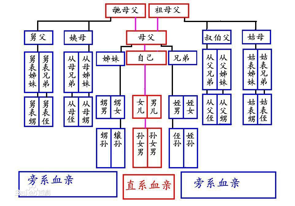 三代血親